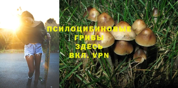 дурь Алзамай