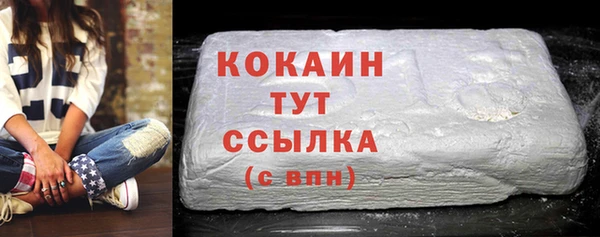 индика Абинск